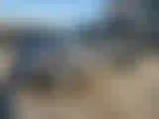 Vehicle Image- 2022 Ford Explorer