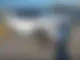 Vehicle Image- 2023 Ford Explorer