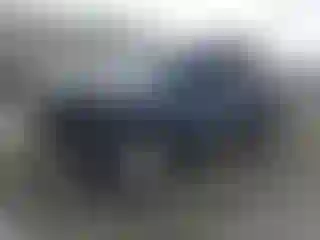 Vehicle Image- 2021 Ford Explorer