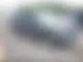 Vehicle Image- 2021 Ford Explorer