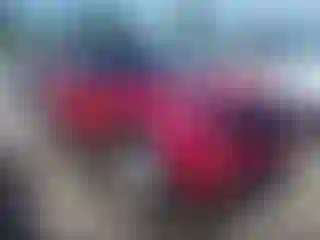 Vehicle Image- 2020 Ford Explorer