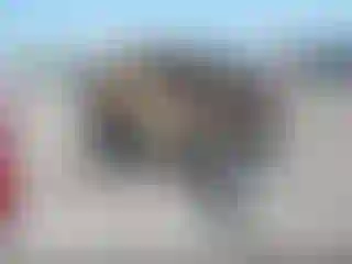 Vehicle Image- 2021 Ford Explorer