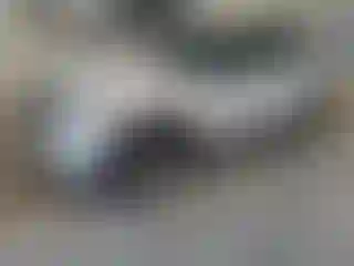 Vehicle Image- 2023 Ford Explorer