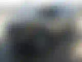 Vehicle Image- 2021 Ford Explorer