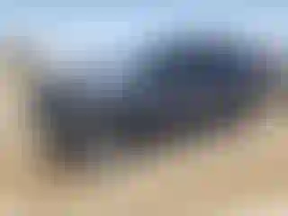 Vehicle Image- 2021 Ford Explorer