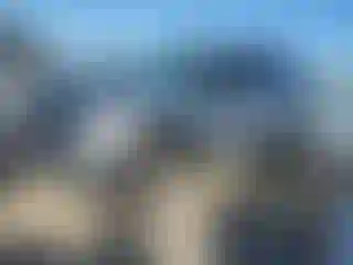 Vehicle Image- 2024 Ford Explorer