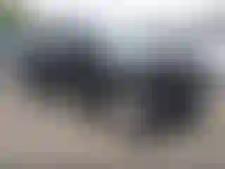 Vehicle Image- 2021 Ford Explorer