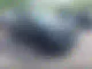 Vehicle Image- 2024 Ford Explorer