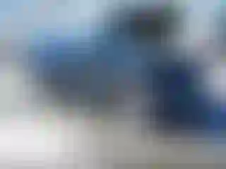 Vehicle Image- 2020 Ford Explorer