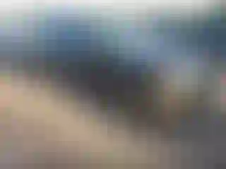 Vehicle Image- 2021 Ford Explorer