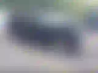 Vehicle Image- 2021 Ford Explorer