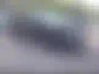 Vehicle Image- 2023 Ford Explorer