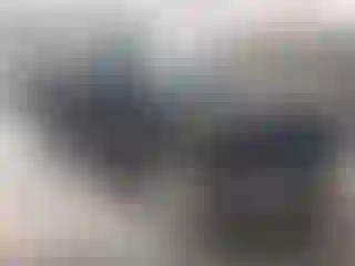 Vehicle Image- 2020 Ford Explorer