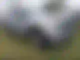 Vehicle Image- 2020 Ford Explorer