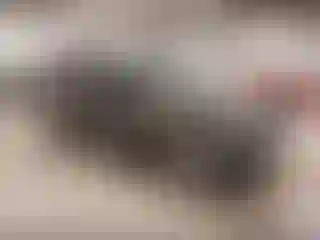 Vehicle Image- 2021 Ford Explorer