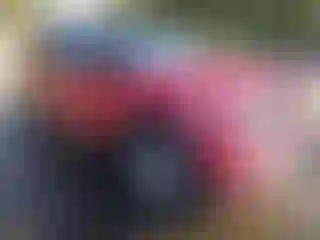 Vehicle Image- 2020 Ford Explorer