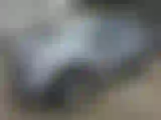 Vehicle Image- 2021 Ford Explorer