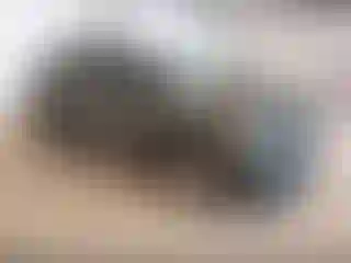 Vehicle Image- 2023 Ford Explorer