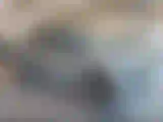 Vehicle Image- 2023 Ford Explorer