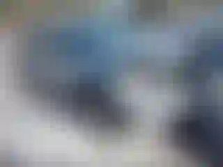 Vehicle Image- 2020 Ford Explorer