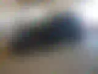 Vehicle Image- 2021 Ford Explorer