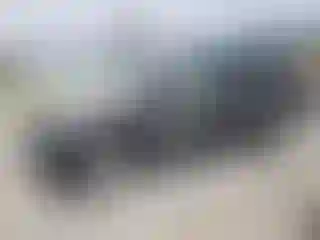 Vehicle Image- 2020 Ford Explorer
