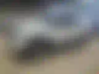 Vehicle Image- 2021 Ford Explorer