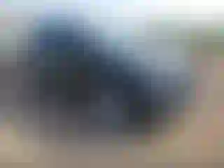 Vehicle Image- 2023 Ford Explorer
