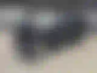 Vehicle Image- 2020 Ford Explorer