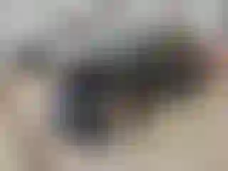 Vehicle Image- 2020 Ford Explorer