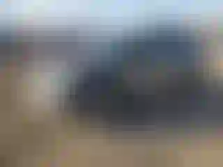 Vehicle Image- 2021 Ford Explorer