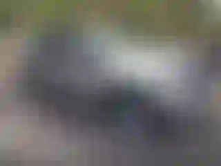 Vehicle Image- 2022 Ford Explorer