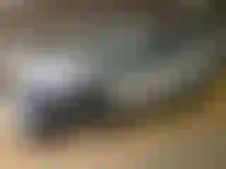 Vehicle Image- 2023 Ford Explorer