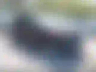 Vehicle Image- 2020 Ford Explorer