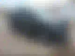 Vehicle Image- 2020 Ford Explorer