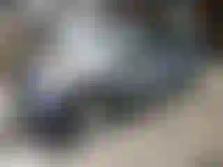 Vehicle Image- 2021 Ford Explorer