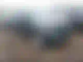 Vehicle Image- 2022 Ford Explorer