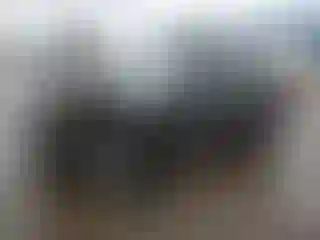 Vehicle Image- 2024 Ford Explorer