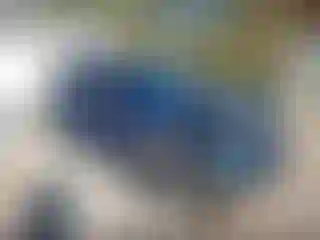 Vehicle Image- 2021 Ford Explorer