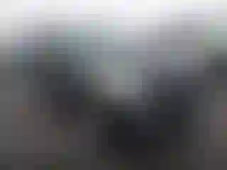 Vehicle Image- 2023 Ford Explorer