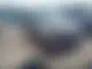 Vehicle Image- 2020 Ford Explorer