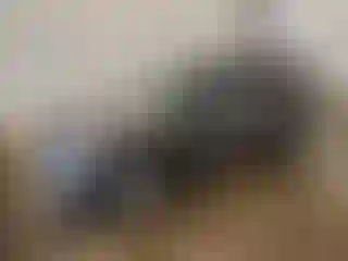 Vehicle Image- 2023 Ford Explorer