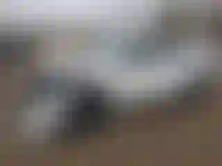 Vehicle Image- 2020 Ford Explorer