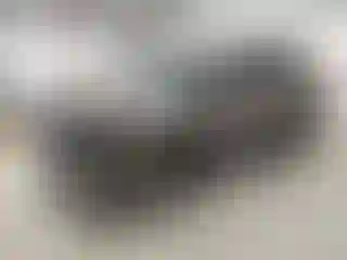 Vehicle Image- 2021 Ford Explorer