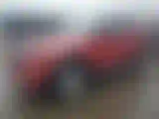 Vehicle Image- 2023 Ford Explorer