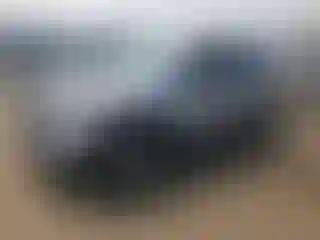 Vehicle Image- 2024 Ford Explorer