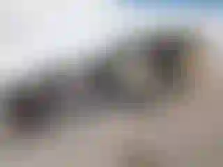 Vehicle Image- 2022 Ford Explorer