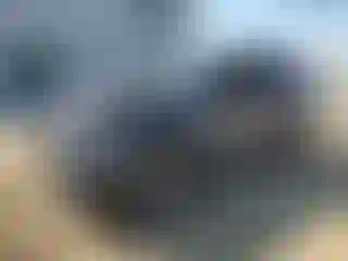 Vehicle Image- 2021 Ford Explorer