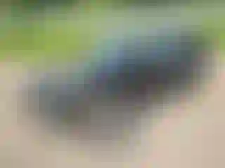 Vehicle Image- 2023 Ford Explorer