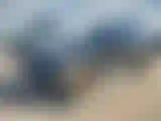 Vehicle Image- 2022 Ford Explorer